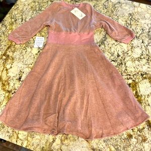 Joyfolie Lined Rose Dress